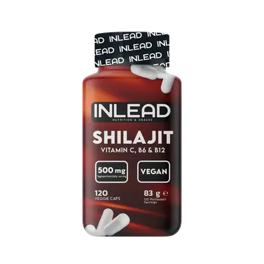 INLEAD Shilajit 500mg 120 Kapseln